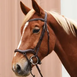 Bridon Cuir Soft et Anatomique Stationata