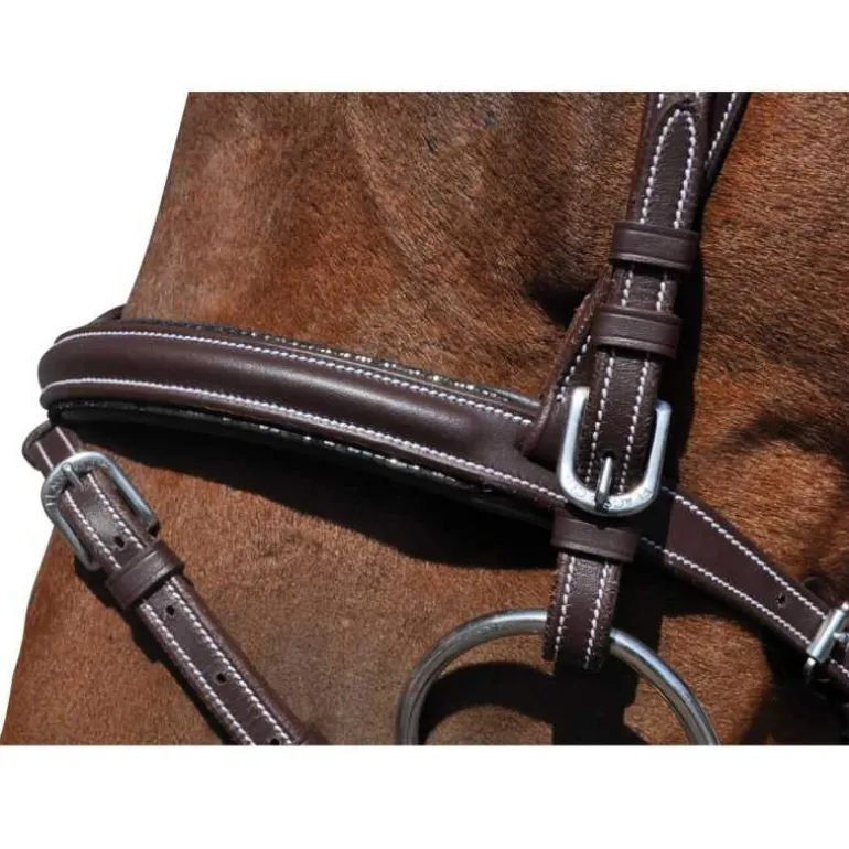 Bridon Doha Flags&Cup