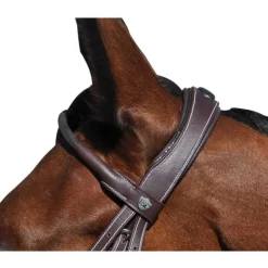 Bridon Doha Flags&Cup