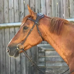 Bridon Essentiel à pont T de T