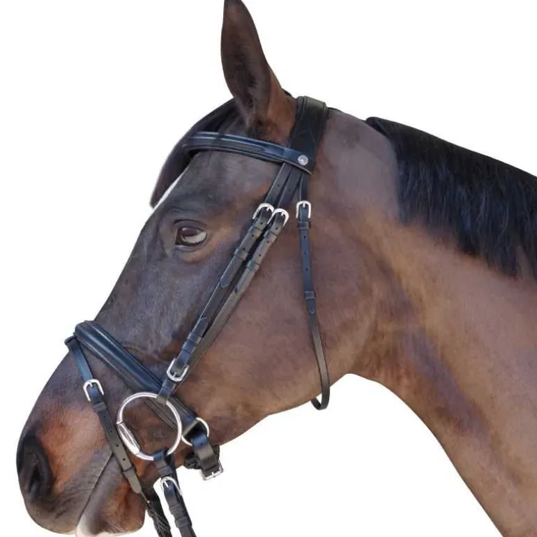 Bridon Euro Pull-back Canter