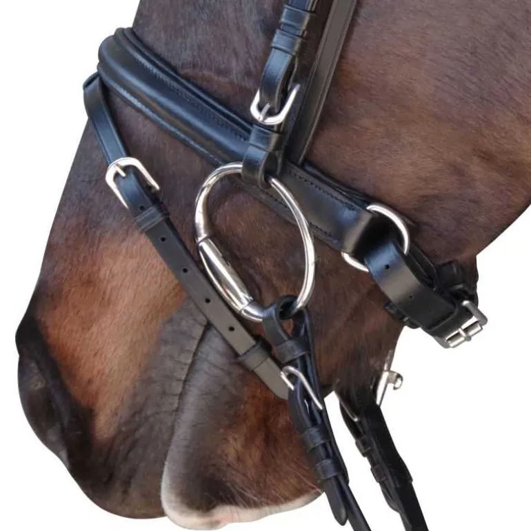 Bridon Euro Pull-back Canter