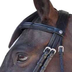 Bridon Euro Pull-back Canter