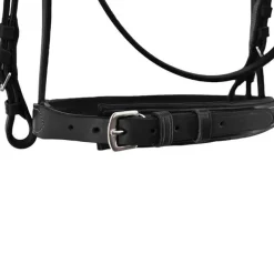 Bridon Fancy Combiné Stationata