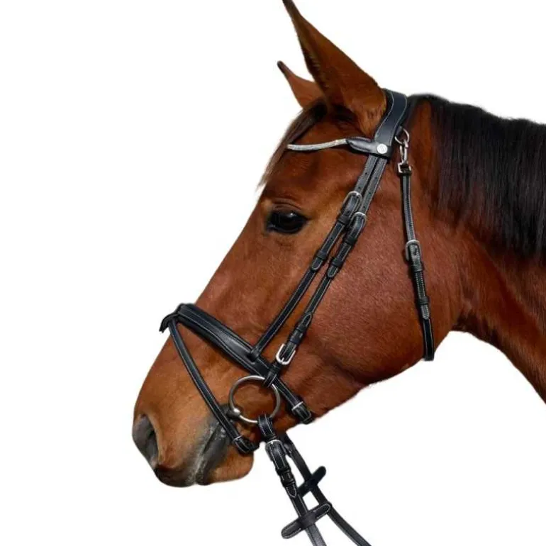 Bridon Genève Flags&Cup