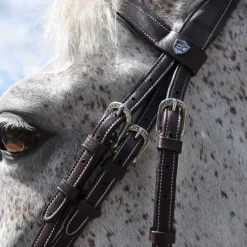 Bridon Göteborg Flags&Cup