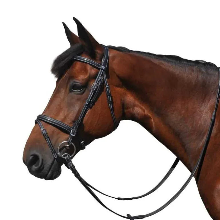 Bridon Helsinski Flags&Cup