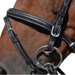 Bridon Helsinski Flags&Cup