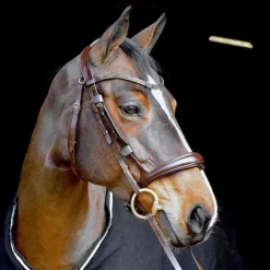 Bridon Hopper T de T