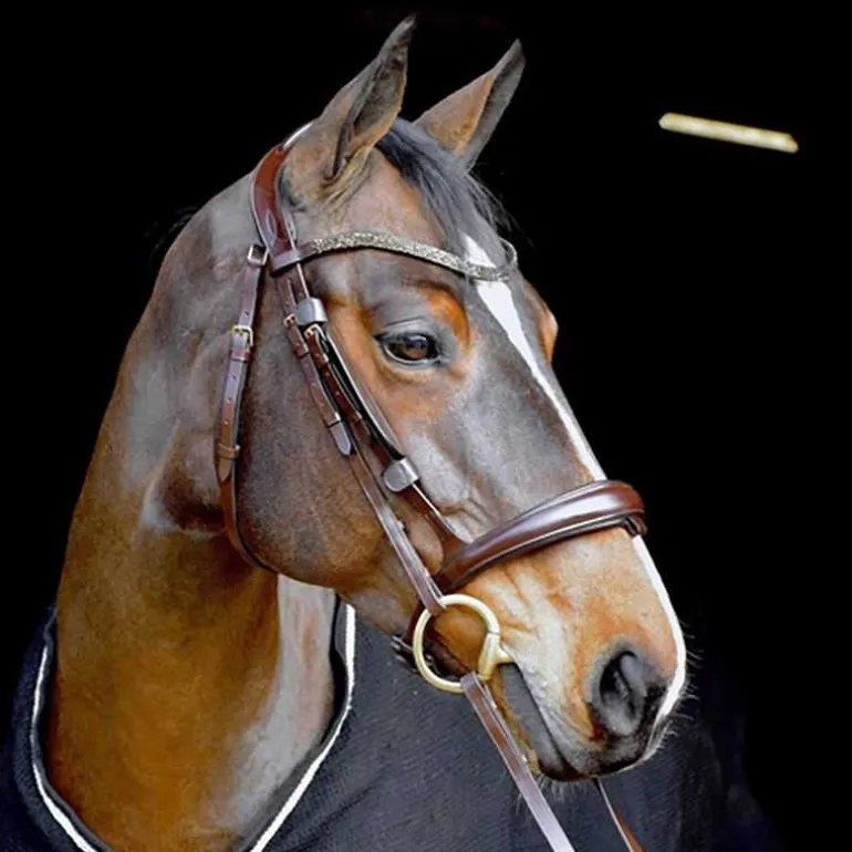 Bridon Hopper T de T