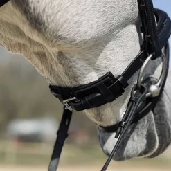 Bridon Hopper T de T