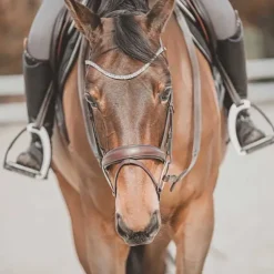 Bridon Hopper T de T