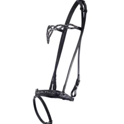 Bridon Islandais Frosti QHP