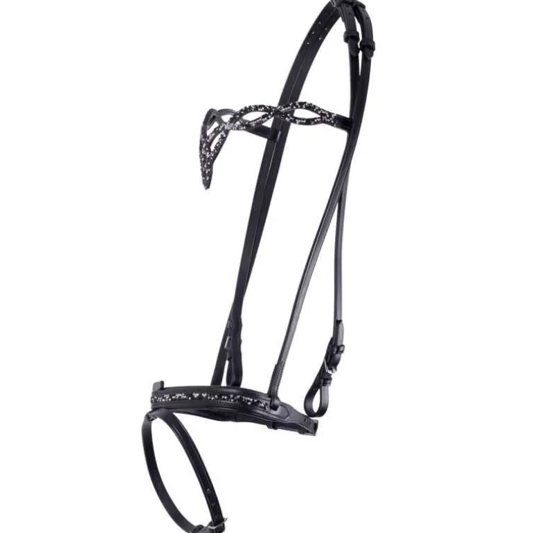 Bridon Islandais Frosti QHP