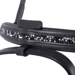 Bridon Islandais Frosti QHP