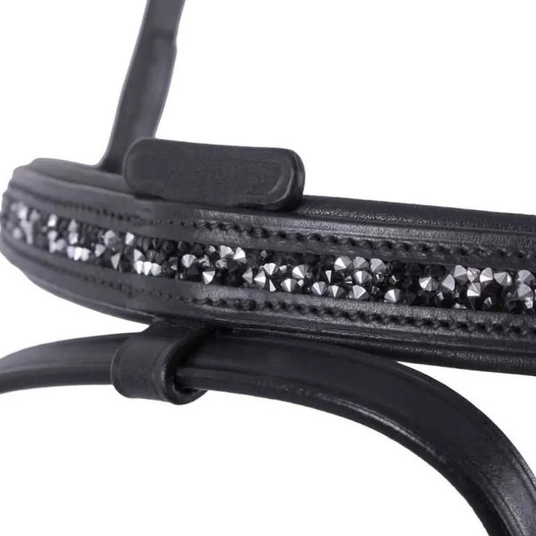 Bridon Islandais Frosti QHP