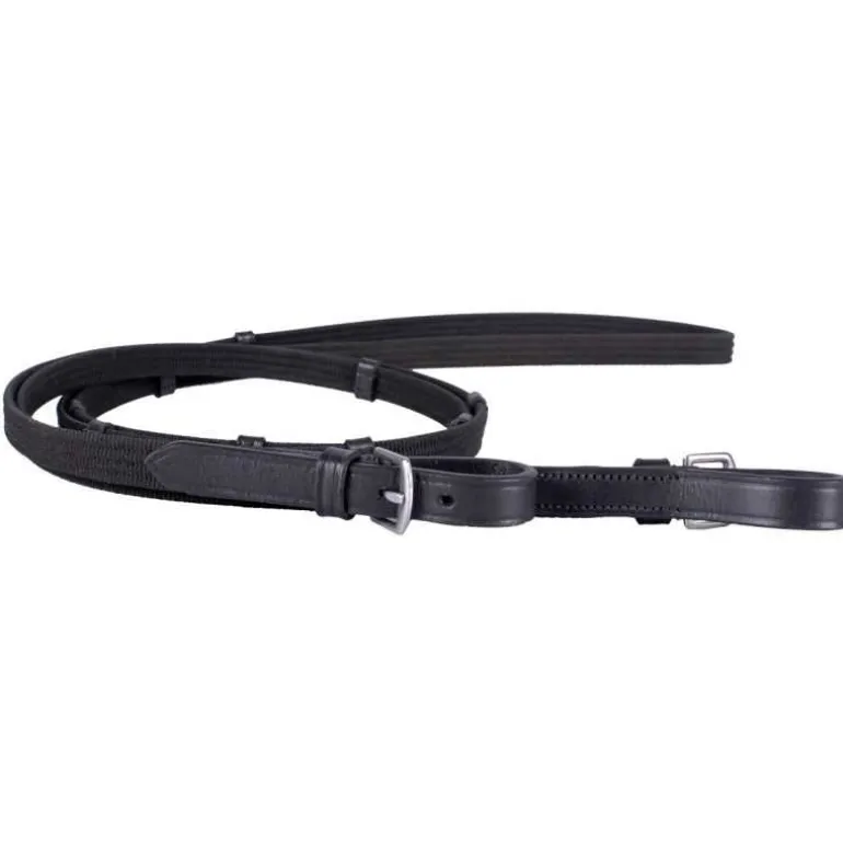 Bridon Islandais Frosti QHP