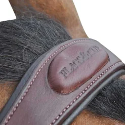 Bridon Kitsi Flags&Cup