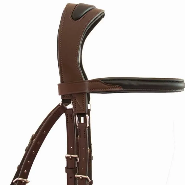 Bridon Lautrec T de T