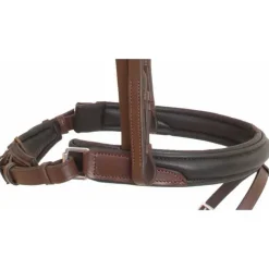 Bridon Lautrec T de T