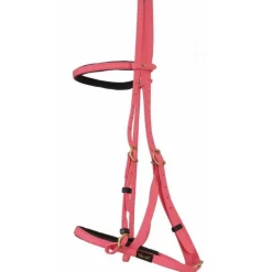 Bridon Licol Biotack T de T