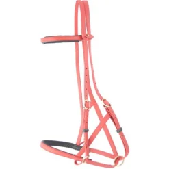 Bridon Licol Biotack T de T