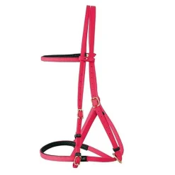 Bridon Licol Biotack T de T