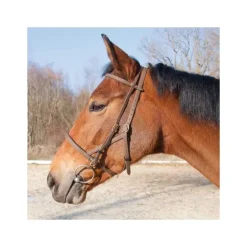 Bridon Licol Biotack T de T