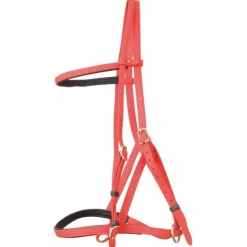 Bridon Licol Biotack T de T