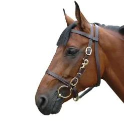 Bridon licol large Canter