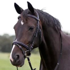 Bridon luxe avec surpiqûres QHP