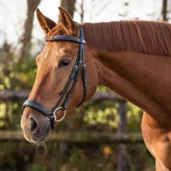 Bridon luxe muserolle allemande QHP