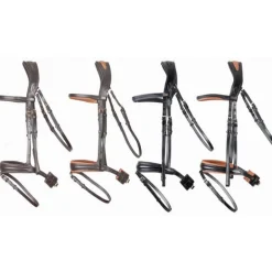 Bridon Matisse T de T