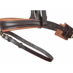 Bridon Matisse T de T