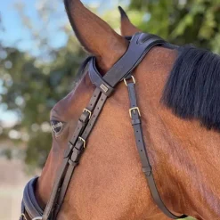 Bridon Matisse T de T