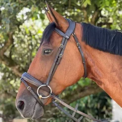 Bridon Matisse T de T