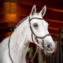 Bridon Micklem 2 compétition Horseware