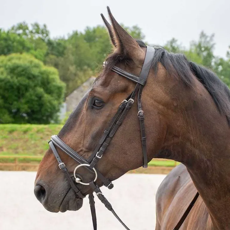 Bridon muserolle combinée Horse & Go