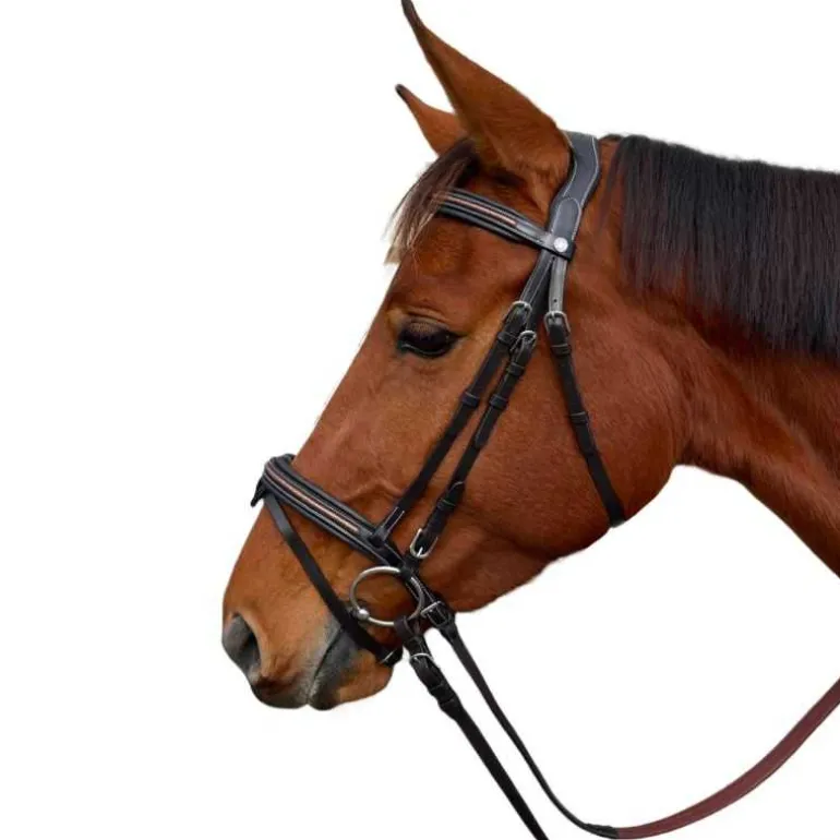 Bridon Mylord Canter