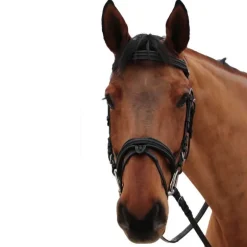 Bridon Mylord Canter