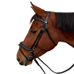 Bridon Mylord Canter