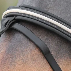 Bridon Mylord Canter