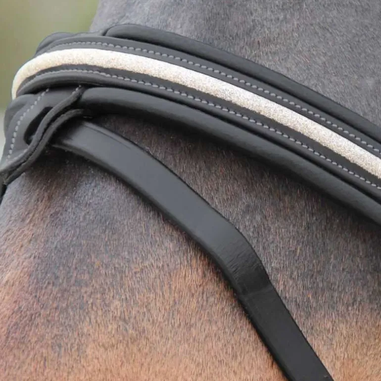 Bridon Mylord Canter