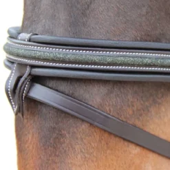 Bridon Mylord Canter