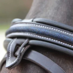 Bridon Mylord Canter