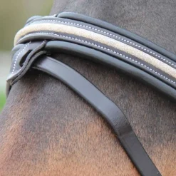 Bridon Mylord Canter