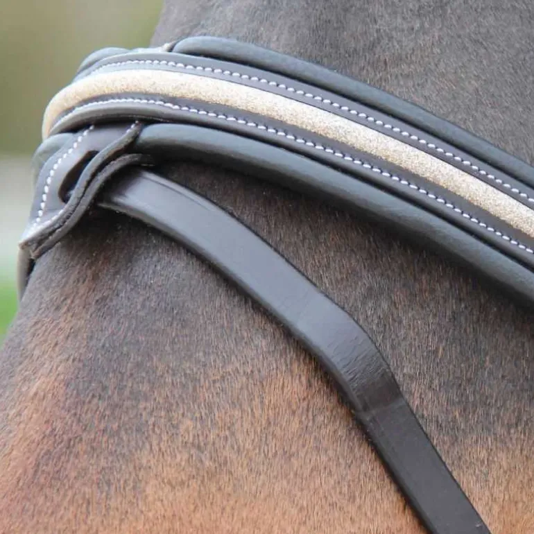 Bridon Mylord Canter