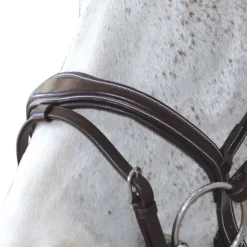 Bridon Ornella Canter