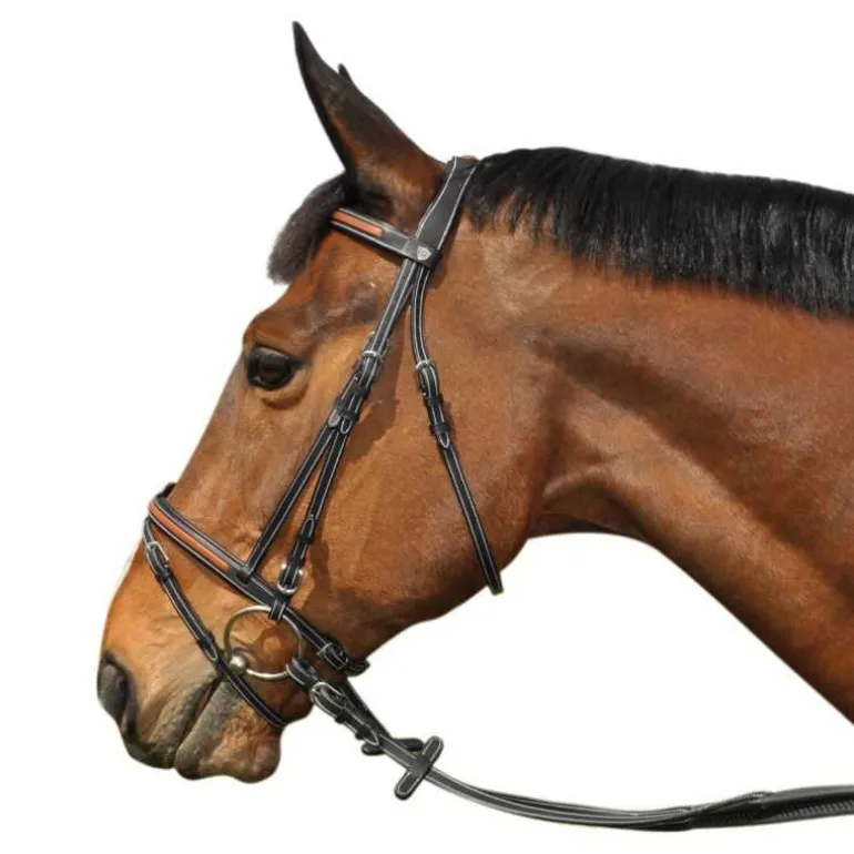 Bridon Oslo Flags&Cup