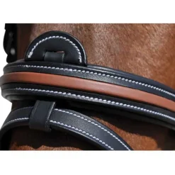 Bridon Oslo Flags&Cup